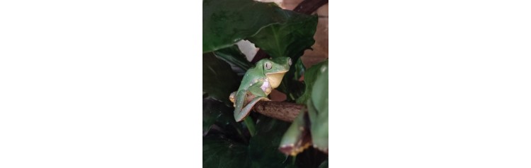 Ночная экскурсия в Зооцентре Экзотических животных Пантерик (2026-01-30)