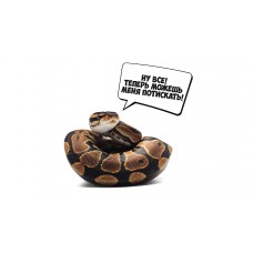 Змеи Интерактивное знакомство с Экзотическими животными (2025-11-16)