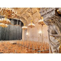 Авторская экскурсия по Владимирскому дворцу (2026-02-10) Авторская экскурсия по Владимирскому дворцу (2026-02-10)