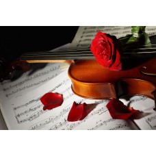 музыкальнопоэтическая элегия Я знаю что все женщины прекрасны (2026-03-09)