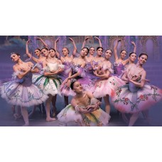 Спящая Красавица Классический балет с видеоэффектами (2025-11-08) Спящая Красавица Классический балет с видеоэффектами (2025-11-08)