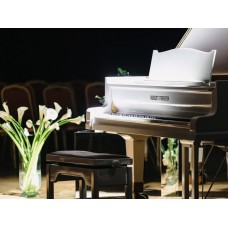 2 рояля Музыка сквозь века (2025-12-21)