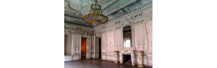 особняк Брусницыных (2025-12-26)