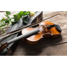 Великолепная Италия (2025-11-28)