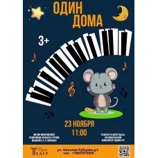 Один дома (2025-11-23)