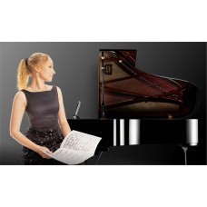 Салон с историей Лист Чайковский Глинка Моцарт Слонимский фортепианный концерт  экскурсия Вечеринка с фуршетом в музее на Невском (2026-02-01)