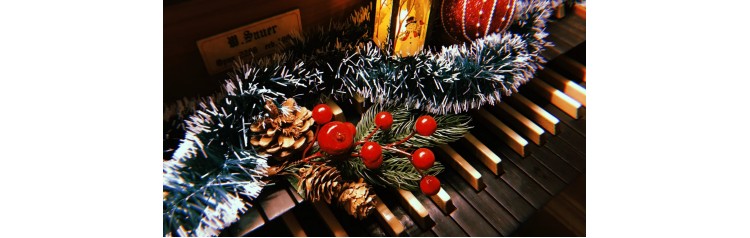 Фестиваль От Рождества до Рождества Праздничный органный концерт  la Venue de Nol (2026-01-01)