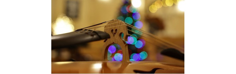 Фестиваль От Рождества до Рождества Концерт старинной ансамблевой музыки Рождественская песнь (2026-01-09)