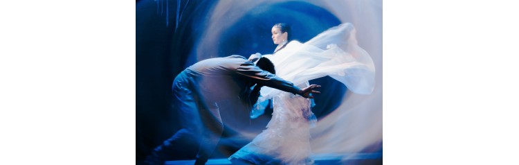 Здесь раньше росли яблоки (2026-01-07)