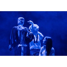 Утка смерть и тюльпан (2026-01-10)