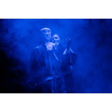 Утка смерть и тюльпан (2026-02-15)