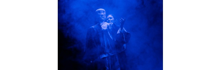 Утка смерть и тюльпан (2026-02-15)