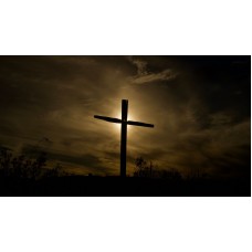 Концерт органной импровизации Орган и немое кино (2026-01-29) Концерт органной импровизации Орган и немое кино (2026-01-29)