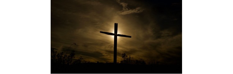 Концерт органной импровизации Орган и немое кино (2026-01-29)