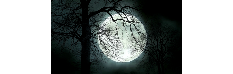 Поэтический шабаш (2026-03-13)