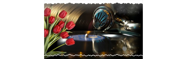 ЗВУКОЗАПИЬ ЭВОЛЮЦИЯ и РОМАНТИКА История технологий  чаепитие и мини концерт под гитару Музей ностальгии во дворце на Невском (2026-03-08)