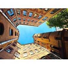 Дворы и парадные Петроградской (2026-03-07)