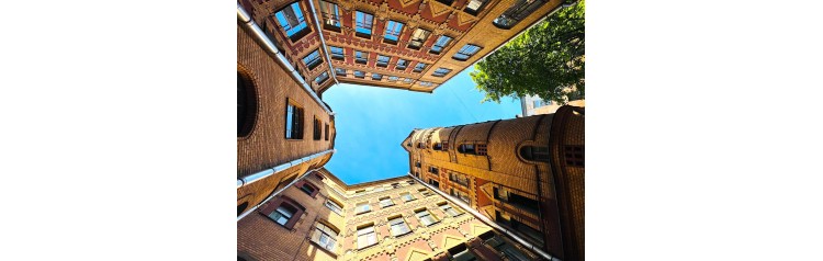 Дворы и парадные Петроградской (2026-04-01)