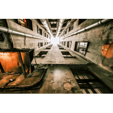 Тайные лабиринты Петроградской стороны (2026-08-31)