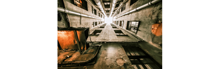 Тайные лабиринты Петроградской стороны (2026-08-31)