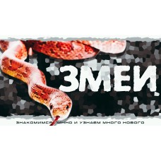 Змеи Интерактивное знакомство с Экзотическими животными (2026-05-10)