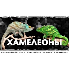 Хамелеоны Интерактивное знакомство с Экзотическими животными (2026-04-26)