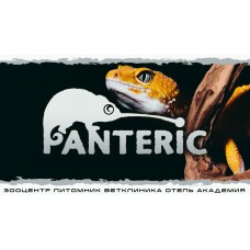 Гекконы Интерактивное знакомство с Экзотическими животными (2026-04-25)