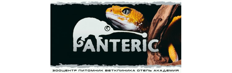 Гекконы Интерактивное знакомство с Экзотическими животными (2026-05-23)