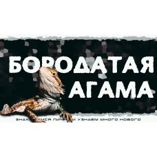 Бородатые агамы Интерактивное знакомство с Экзотическими животными (2026-03-22)