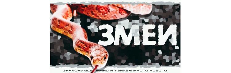 Змеи Интерактивное знакомство с Экзотическими животными (2026-03-21)