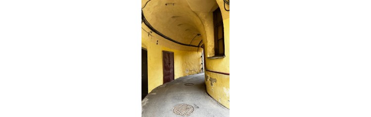 Лабиринты Петроградской (2026-06-19)